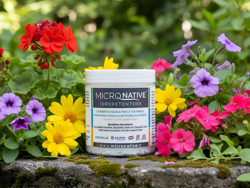 Idroretentore per piante: guida completa