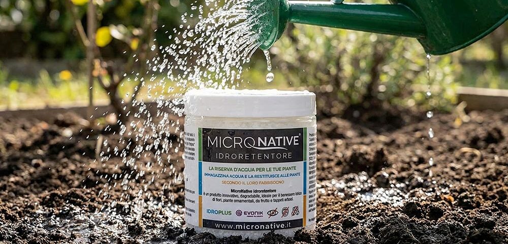 Come ridurre le irrigazioni in estate (e avere piante sane con meno acqua)